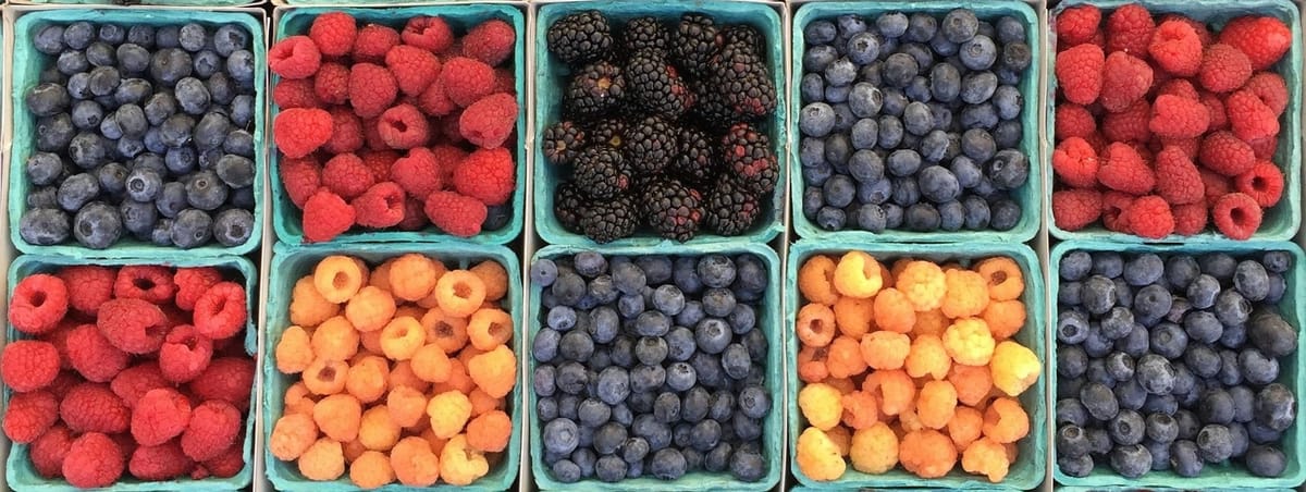 Evidence based nutrition made simple.