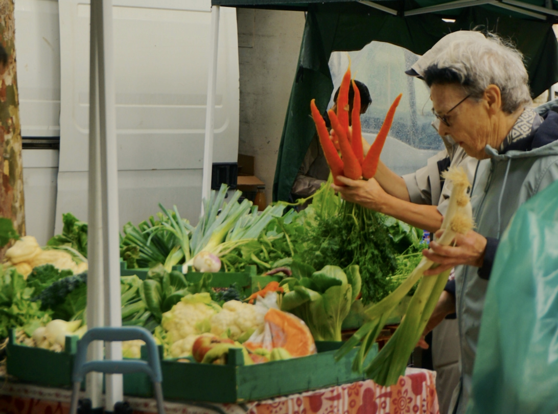 The overlooked plant compounds that help your brain stay sharp